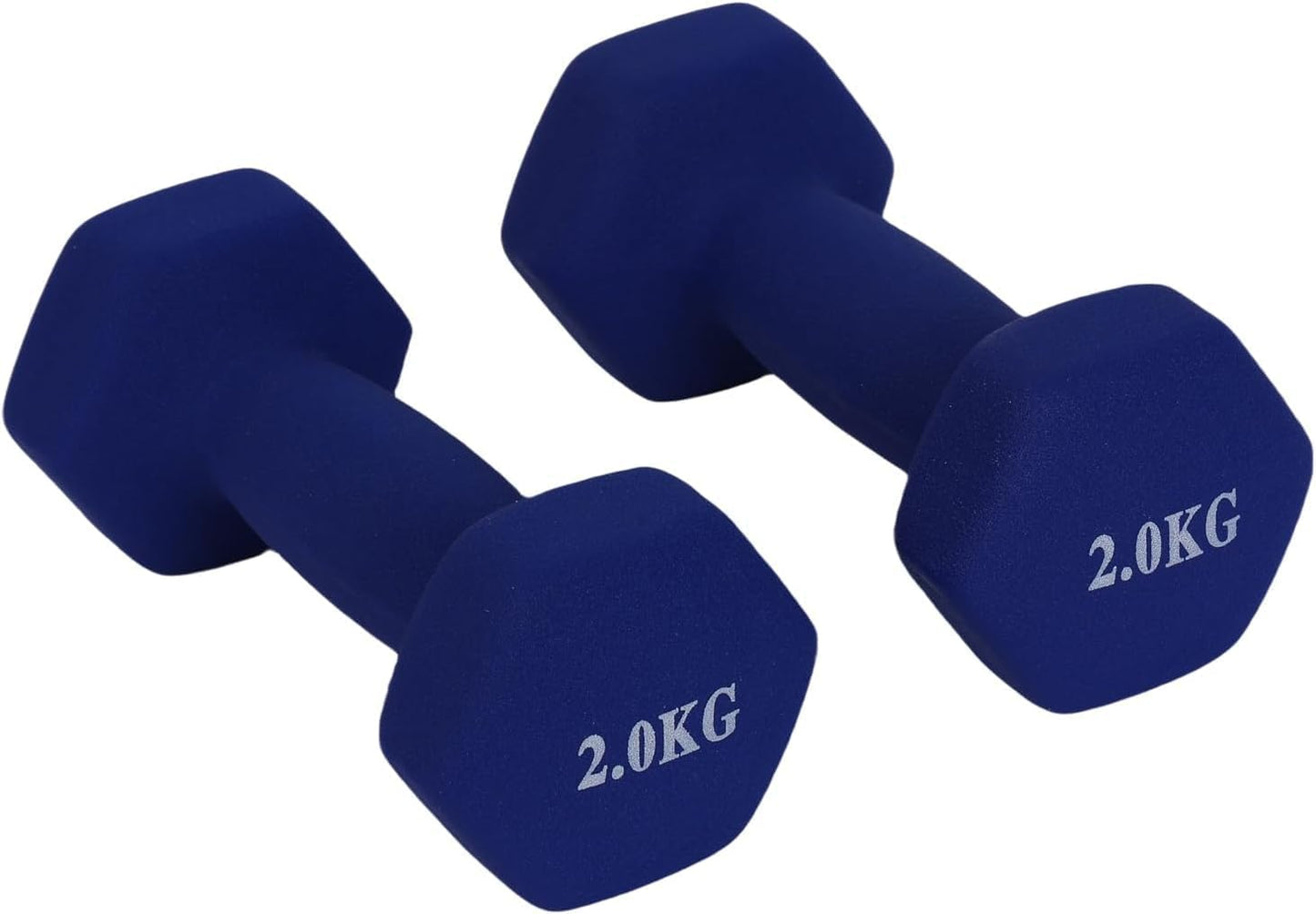 Endless Neoprene Coated Fixed Dumbbell for Gym Exercises, Pair of 2 kg (2 x 4.4 lb), Material: Iron with Vinyl Coat, Weights for Women and Men, Sky Blue
