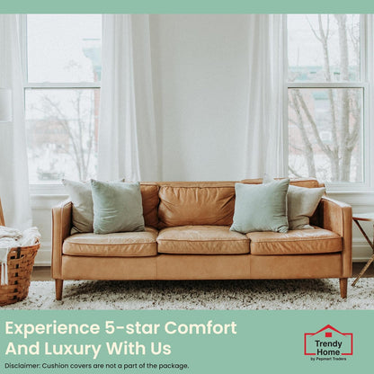 Trendy Home 20x20 Throw Pillow Insert (Set of 2, White) Bed and Couch Pillows Stuffer Hypoallergenic, Decorative Home Indoor Outdoor Sofa Pillow Filler (Machine Wash, 2 Pack)