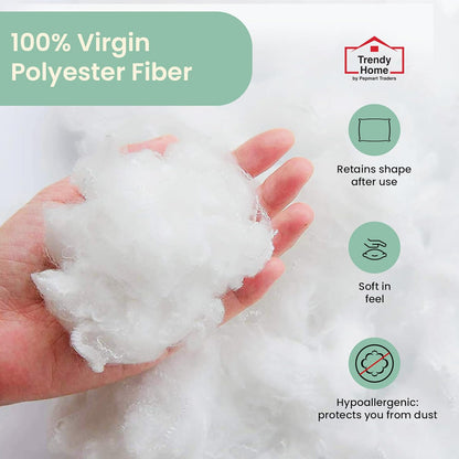 Trendy Home 16x16 Throw Pillow Insert (Set of 2, White) Bed and Couch Pillows Stuffer Hypoallergenic, Decorative Home Outdoor Sofa Pillow Filler