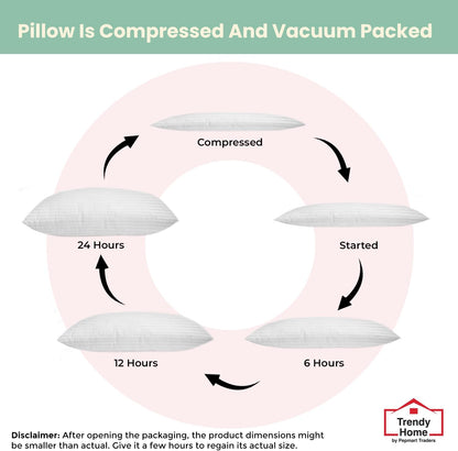 Trendy Home 12x20 Throw Pillow Insert (Pack of 2, White), Bed and Couch Pillows Stuffer Hypoallergenic, Lumbar Support Decorative Home Outdoor Pillow Filler