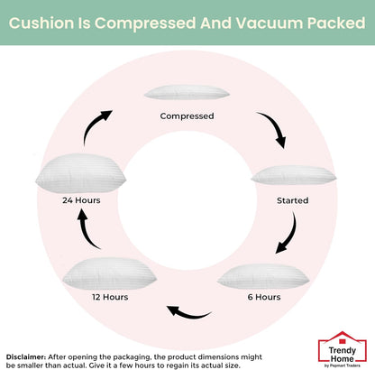 Trendy Home 16x16 Throw Pillow Insert (Set of 2, White) Bed and Couch Pillows Stuffer Hypoallergenic, Decorative Home Outdoor Sofa Pillow Filler