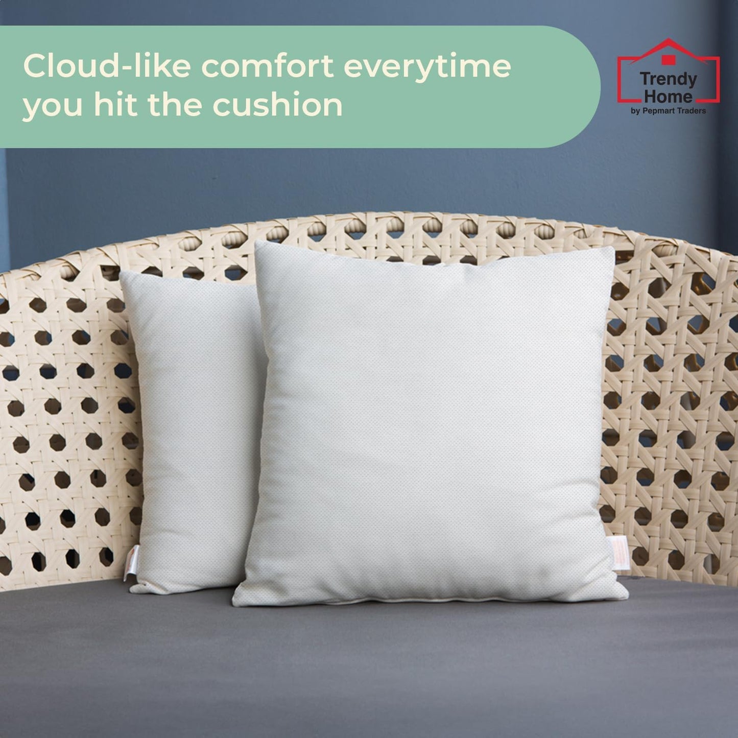 Trendy Home 16x16 Throw Pillow Insert (Set of 2, White) Bed and Couch Pillows Stuffer Hypoallergenic, Decorative Home Outdoor Sofa Pillow Filler